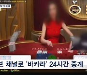 23만 유튜브 채널로 불법도박 생중계…베팅만 450억