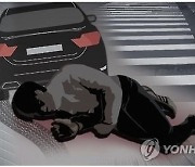 새벽에 노인 치어 숨지게 한 운전자…法 “무죄” 이유 보니