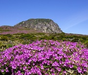 제주세계유산본부, 한라산국립공원 내 사유지 추가 매입