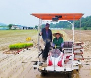 권기창 안동 시장 이양기 몰며 풍년기원 모내기 시연