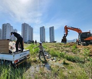 '송도국제도시 무단경작 도 넘었다' 인천경제청 첫 행정대집행