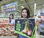 ‘햇 주대 마늘’ 최대 45% 할인 판매