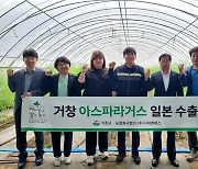 거창 아스파라거스 첫 수출길 올라…500kg 수출