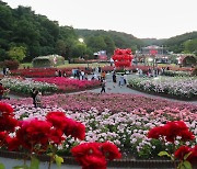 300만 송이 장미의 향연…울산대공원 장미축제 24일 개최