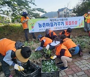 제주 함덕농협 고향주부모임, 농촌 꽃길 조성 행사