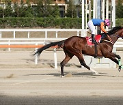 과거 VS 미래 VS 현재.. 장거리 최강자들의 경쟁 막이 오른다