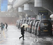 제주 산지에 시간당 10㎜ 강한 비…제주공항 돌풍경보