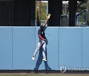 Twins Dodgers Baseball