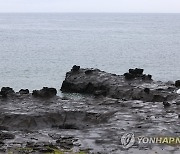 비 내리는 제주, 돌염전 산책