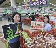 주대 마늘, 첫 출하 특별 할인