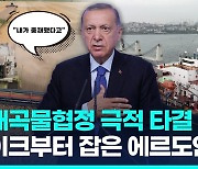 [영상] 흑해곡물협정 극적 연장…치적 절실한 에르도안 직접 발표