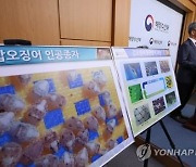 고군산군도 해역에 '갑오징어 산란 서식장' 조성 추진