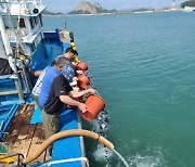 군산시, 수산자원 회복과 증강 위한 사업 돌입