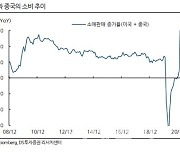 "글로벌 소비지표 회복 중…'G2 주목'"