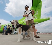 '제주 여행 신난다개'