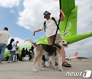 '반려견과 전세기 타고 제주로'