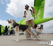 제주 여행 '댕댕이'와 함께