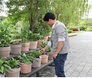 한국수목원정원관리원, 대한민국 정원식물 전시·품평회 개막