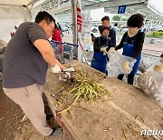 경남 창녕 햇마늘 24일까지 울산서 판촉기획전