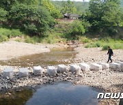 반구대암각화 상류 대곡천 징검다리…"주변 경관과 부조화" 논란