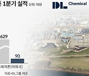 “무리한 M&A” 우려 씻고 자회사 덕 본 DL·롯데케미칼