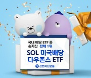 신한운용 미국배당 다우존스 ETF, 국내 배당 ETF 순자산 1위