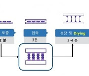 “라파스, 마이크로니들 패치 매출·의약품 임상 기대”