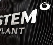 Osstem Implant stocks climb as company seeks delisting