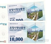 포항국제불빛축제 기간 포항사랑상품권 10% 할인