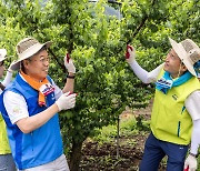 광주은행, 대구은행과 함께 '달빛동맹 농촌봉사활동'