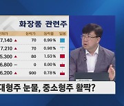 [차영주의 금요시장] 반도체 강세 임박, '삼전·SK하닉' 말고 주목할 종목은?