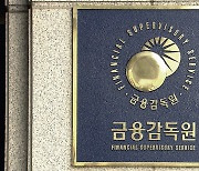 금감원, 자산운용업계 '내부통제 강화 주문'