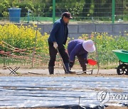 강원도 농가소득 사상 첫 5천만원대 진입…전국 3위 기록