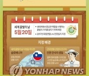 [그래픽] 꿀벌 군집 붕괴현상