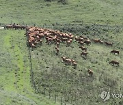 '가축재해보험' 가입한 익산 농가 86% 수혜…경영에 보탬