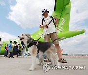 '댕댕이 제주 전세기'