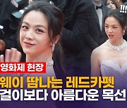 [영상] 탕웨이, '헤어질 결심' 의리? 푸른 드레스 입고 칸 영화제 레드카펫 참석