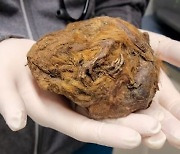 겨울잠 자다 얼어 죽은 다람쥐…3만년 만에 '미라'로 발견