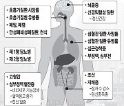 [테크&포커스] 쌓여가는 `나노초미세먼지`… 뇌·눈·심장에도 치명적