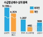 외국인은 반도체·개인은 2차전지주… 엇갈린 베팅