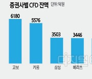 금감원 `CFD`조사 확대… 다음 타깃은 교보·하나證