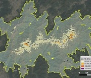 지리산 아고산대 상록침엽수 9.2% '고사'...보존 필요성 커져