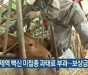 “구제역 백신 미접종 과태료 부과…보상금 없어”