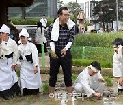 [포토] 농협, 풍년기원 손 모내기