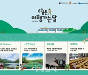 '6월 놓치면 안 된다'.. '2만2000원'으로 여행 가는 법