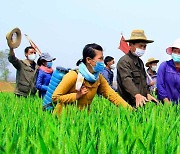 북한, 농민들에 '다수확 열의' 독려…"애국의 열정으로"