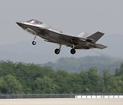 독수리 날아와 '쾅'…1100억짜리 F-35A 스텔스기 폐기 위기