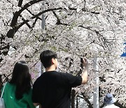 서울시, 청년 1인가구 대상 '만남 주선' 사업 검토 중