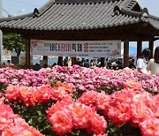 3000여명 불러 모은 ‘포항 바다 장미축제’, 성료