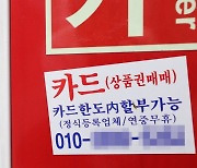 '생계형 급전 필요' 50·60대에서 카드론·리볼빙 급증